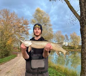 Northern Pike