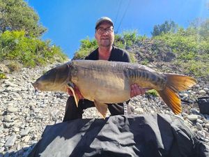 Mirror Carp