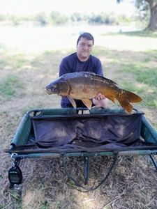 Mirror Carp