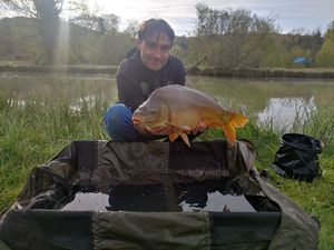 Mirror Carp