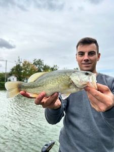Largemouth Bass