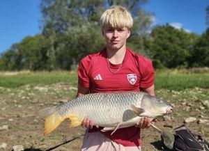 Common Carp