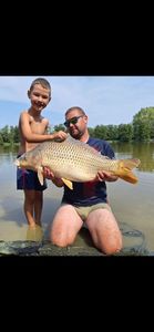 Common Carp