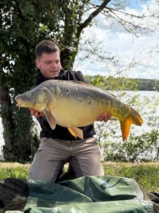 Mirror Carp