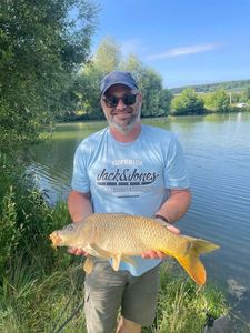 Common Carp