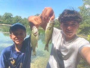 Smallmouth Bass