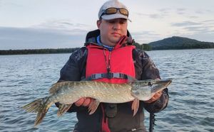 Northern Pike