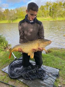 Common Carp