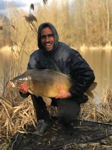Mirror Carp