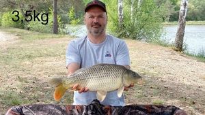 Common Carp