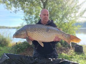 Common Carp