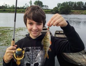 European Perch