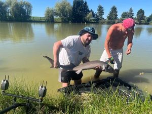 Sturgeon