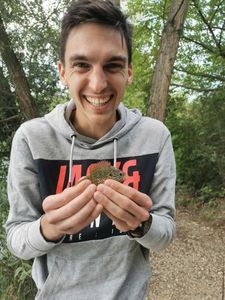 Green Sunfish