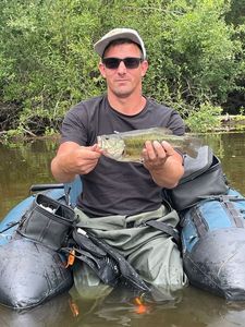Smallmouth Bass