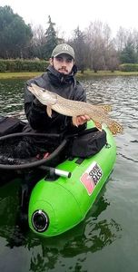 Northern Pike