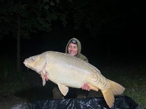 Mirror Carp
