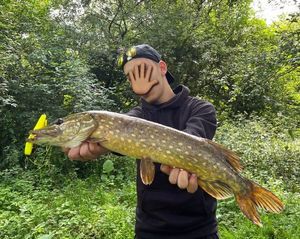 Northern Pike