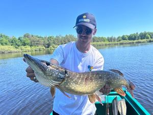 Northern Pike