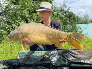 Mirror Carp