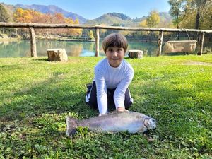 Rainbow Trout