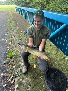Northern Pike