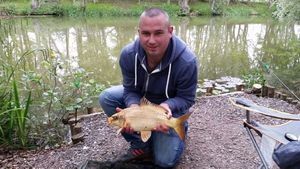 Common Carp