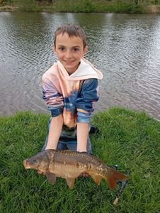 Mirror Carp