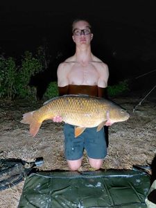 Common Carp