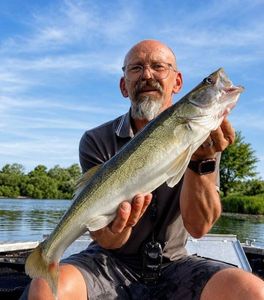 Zander