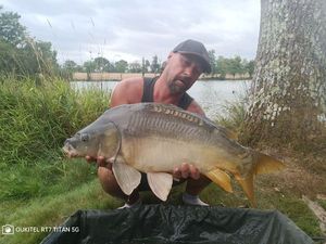 Mirror Carp