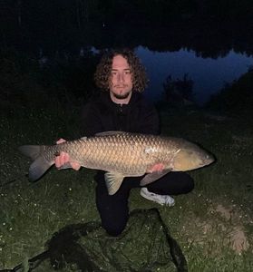 Grass Carp