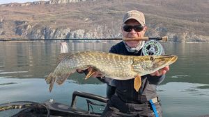 Northern Pike