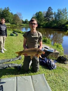 Mirror Carp
