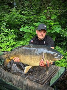 Mirror Carp