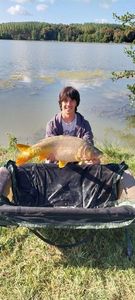 Mirror Carp