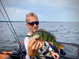 European Perch