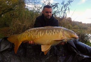 Mirror Carp