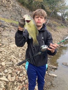 Largemouth Bass