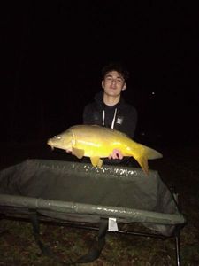 Mirror Carp