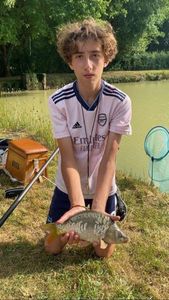 Mirror Carp