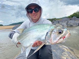 Payara
