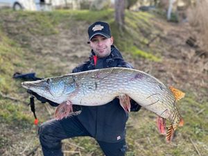 Northern Pike