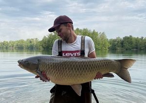 Grass Carp