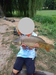 Mirror Carp