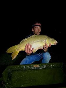 Leather Carp
