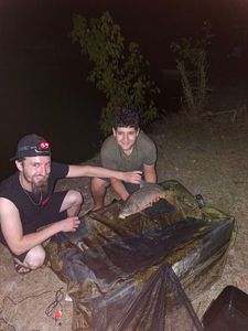 Mirror Carp