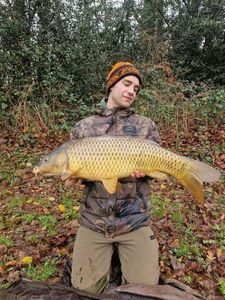 Common Carp