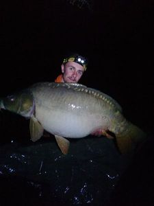 Mirror Carp