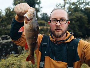 European Perch